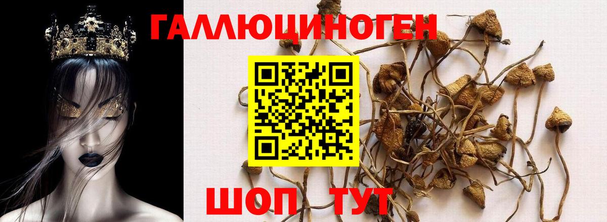 Псилоцибиновые грибы MAGIC MUSHROOMS Арсеньев